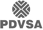 PDVSA logo image