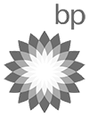 BP Logo Image